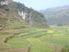 Mahuangdong