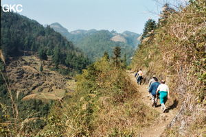 Sur le sentier qui mène à la doline de Longtanzishuidong  un des points clefs du résau de  Shuanghedongqun (Wenquan, Suiyang, Guizhou).