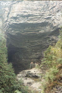 La résurgence de Dayingyandong 大鹰岩洞 s'ouvre dans un site remarquable (Suiyang 绥阳, Zunyi 遵义市, Guizhou 贵州省, Chine).