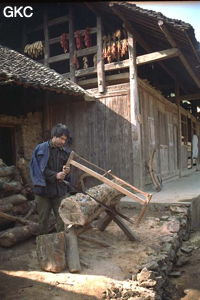 Dans la campagne du synclinal de Yanziping, le scieur de bois inlassable, s'attaque à ce morceau de tronc. (Hefeng, Hubei)