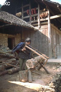 Dans la campagne du synclinal de Yanziping, le scieur de bois inlassable, s'attaque à ce morceau de tronc. (Hefeng, Hubei)