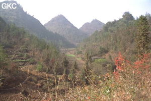 Paysage typique de quifeng dans les hauts du synclinal de Yanziping. (Hefeng/Hubei)
