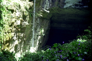 La grande doline de Yuan Dong (accès majeur à la grotte de Fujia Dadong), après de forte pluie ce n'est pas moins de 6 cascades qui se jetaient dans la doline et dans le puits de 130. La présence d'un incroyable tapis de fleurs violettes, les cascades, les formes de la doline et des galeries forment un fabuleux tableau. (Xingchang-Liuzhi-Guizhou)