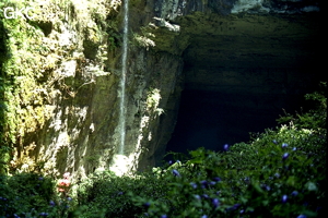 Robert Peyron dans la grande doline de Yuan Dong (accès majeur à la grotte de Fujia Dadong), après de forte pluie ce n'est pas moins de 6 cascades qui se jetaient dans la doline et dans le puits de 130. La présence d'un incroyable tapis de fleurs violettes, les cacades, les formes de la doline et des galeries forment un fabuleux tableau. (Xingchang-Liuzhi-Guizhou)
