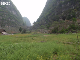 L'entrée nord-ouest de la grotte tunnel de Chuandong - 穿洞 (Guizhou 贵州省, Qiannan 黔南, Pingtang 平塘).